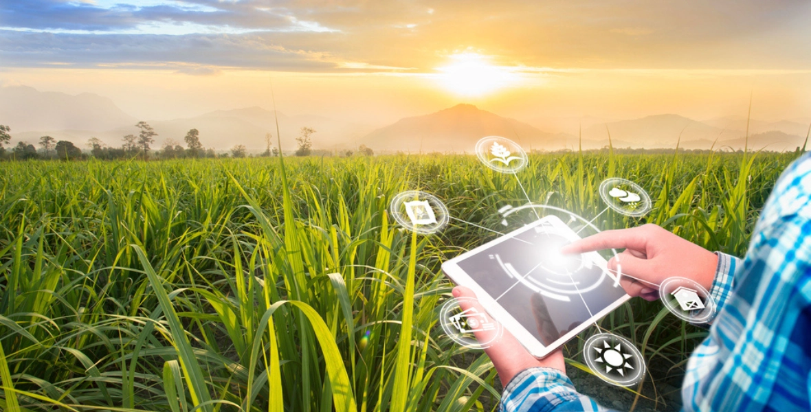 Agriculture Business